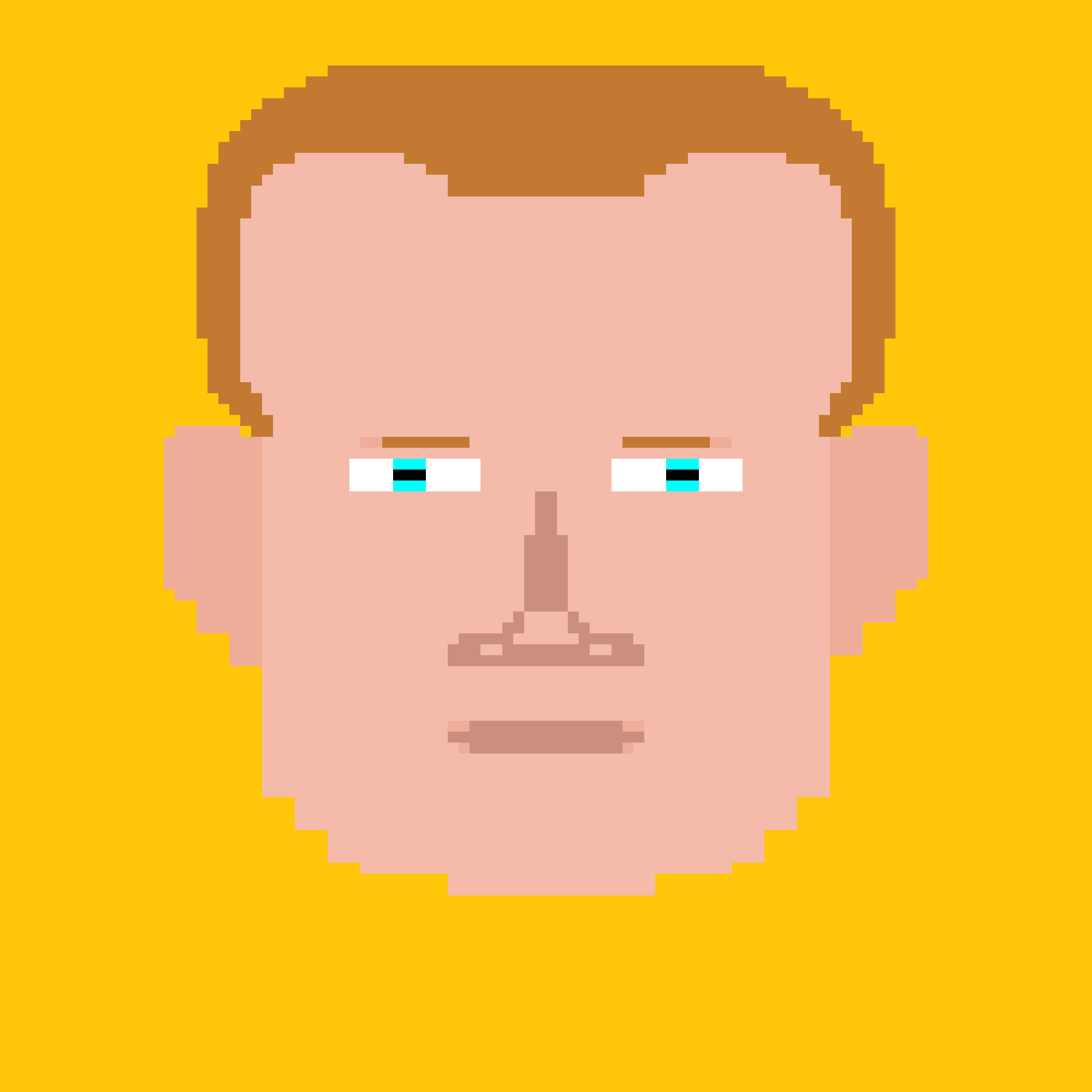 Make a nft collection