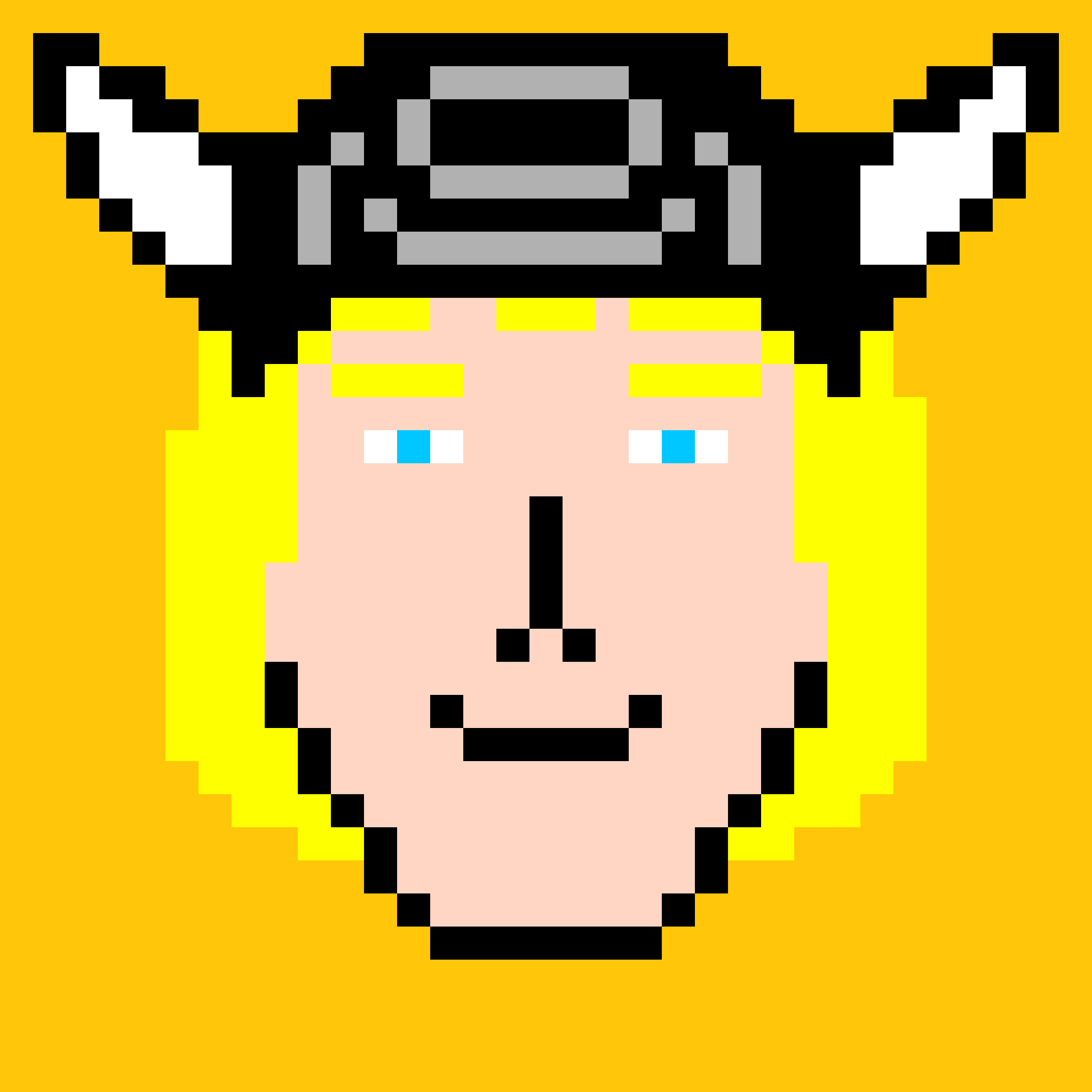 Collaboration with other collections